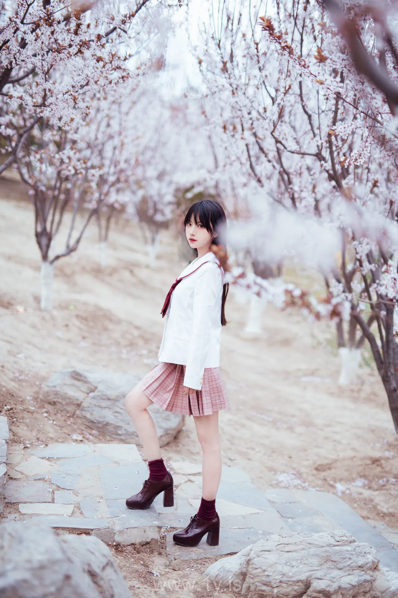 Coser@Shika小鹿鹿 NO.034 Appealing & Beautiful Chinese Hottie 樱花